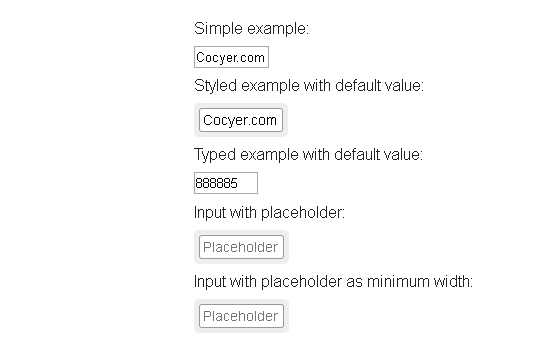 Creating a Resizable Input Fields According to The Content Automatically Using React-Input-Autosize