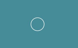 create a signal loading spinner animated with pure css