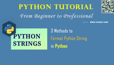 3 Methods to Format Python String