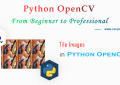 An Introduction to Tile Images in Python OpenCV for Beginners