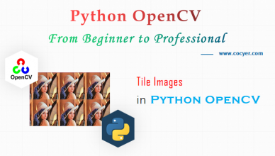 An Introduction to Tile Images in Python OpenCV for Beginners