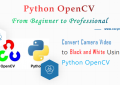 Best Practice to Convert Camera Video to Black and White in Python OpenCV