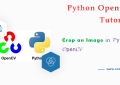Crop an Image Tutorials and Examples in Python OpenCV