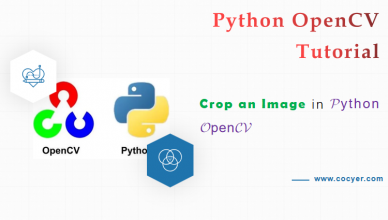 Crop an Image Tutorials and Examples in Python OpenCV