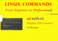 Linux cat Command - Display File Content to Screen for Beginners