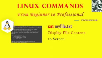 Linux cat Command - Display File Content to Screen for Beginners