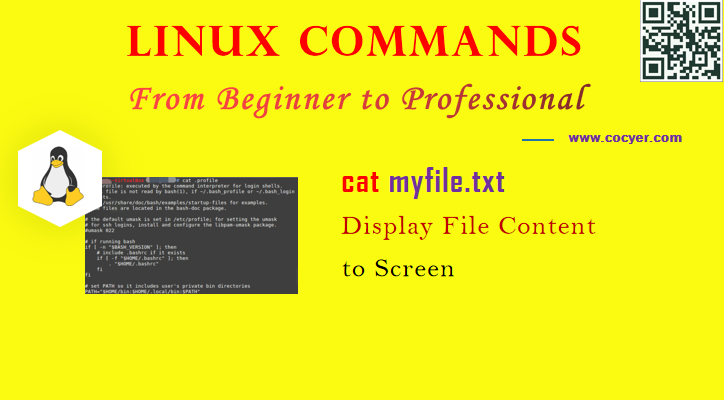 Linux cat Command - Display File Content to Screen for Beginners