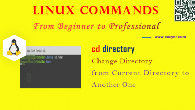 Linux cd Command - Change Directory to Another One for Beginners