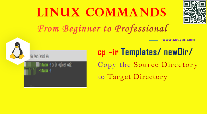 Linux cp –ir Command - Copy the Source Directory to Target Directory for Beginners