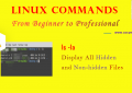 Linux ls -la Command - Display All Hidden and Non-hidden Files for Beginners