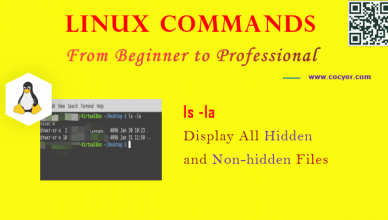 Linux ls -la Command - Display All Hidden and Non-hidden Files for Beginners