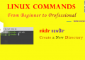 Linux mkdir Command - Create a New Directory for Beginners