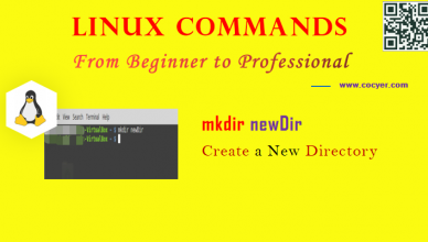 Linux mkdir Command - Create a New Directory for Beginners