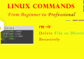 Linux rm -ir Command - Delete File or Directory Recursively for Beginners