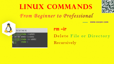 Linux rm -ir Command - Delete File or Directory Recursively for Beginners