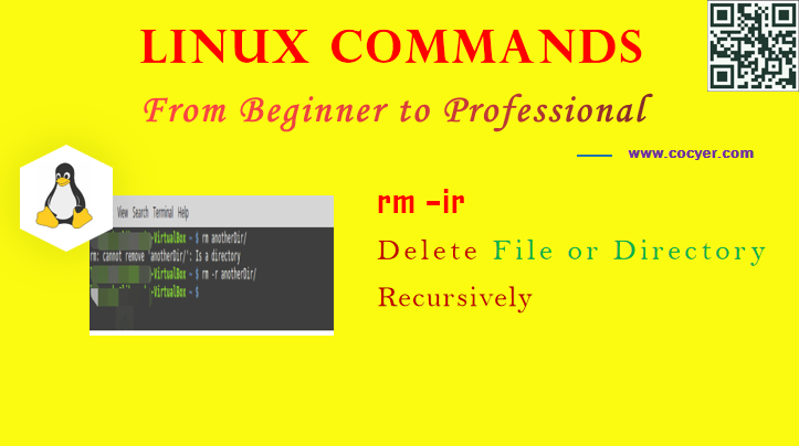 Linux rm -ir Command - Delete File or Directory Recursively for Beginners