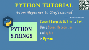 convert audio file to text using python