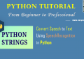 Python: Convert Speech to Text Using SpeechRecognition