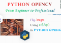 Python OpenCV - Flip image Using cv2.flip() for Beginners