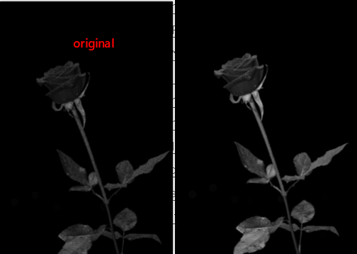 Python OpenCV - Remove Noise in Image Using Contraharmonic Mean Filter