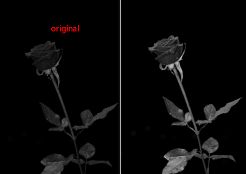 Python OpenCV - Remove Noise in Image Using Midpoint Filter