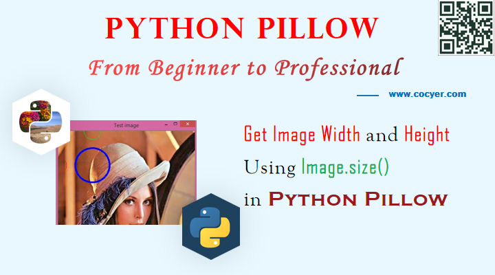 screen width and height python