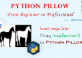 Python Pillow - Invert Image Color Using ImageOps.invert() for Beginners