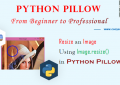 Python Pillow - Resize an Image Using Image.resize() - A Step Guide