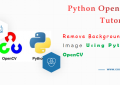 Remove Background of Image Using Python OpenCV