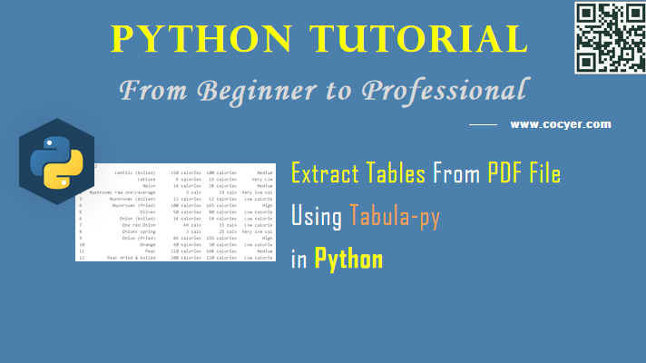 Python PDF Processing - Extract Tables From PDF File Using Tabula-py for Beginners