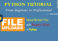 Python: Upload Multiple Files with Requests Library - A Beginner Example